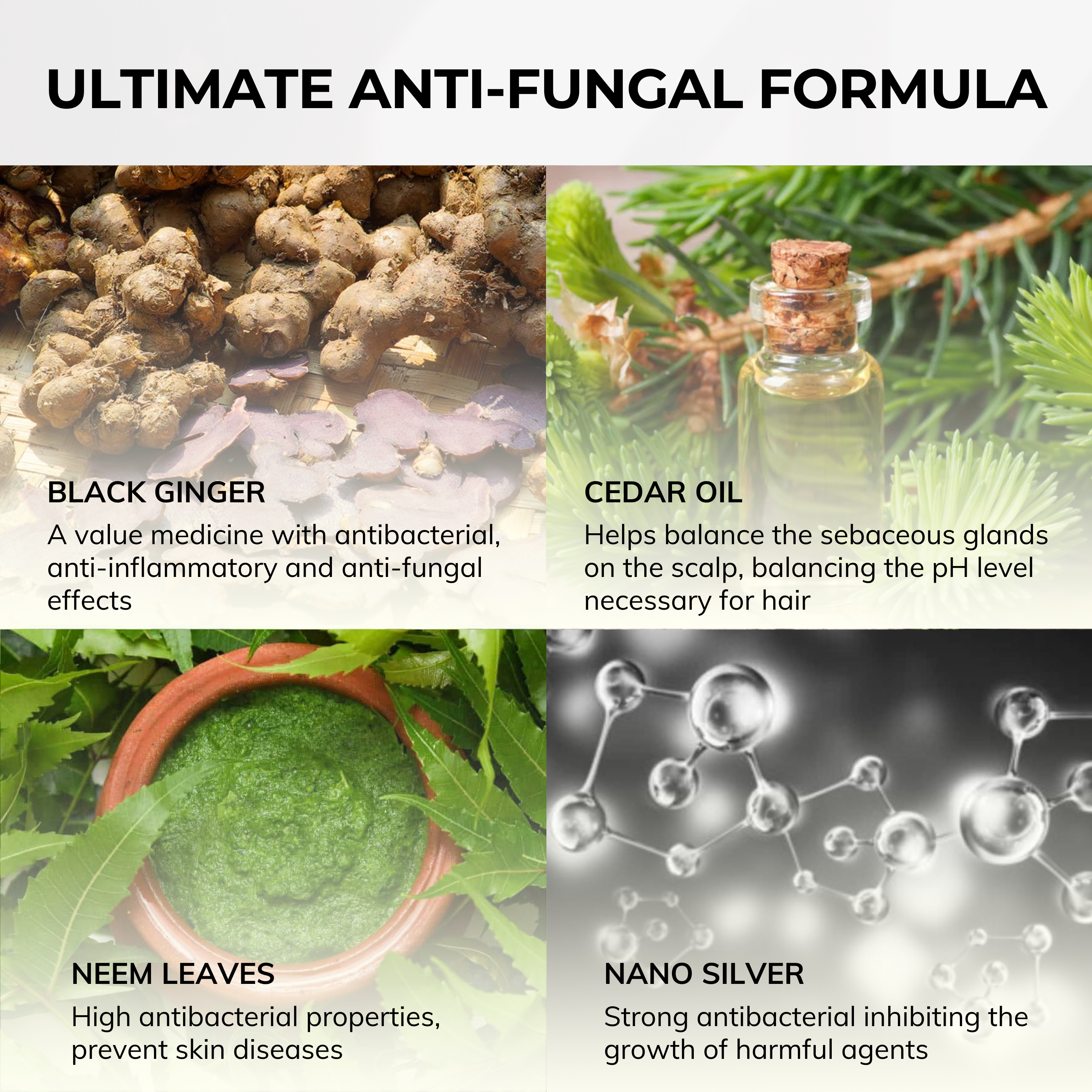 ABERA Alan Silver Serum