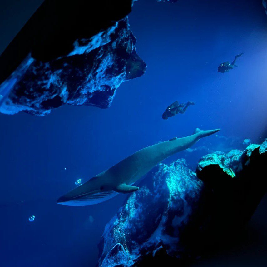Blue Whale Couple Diver Resin Night Light Table Light Deep Sea LED NTD