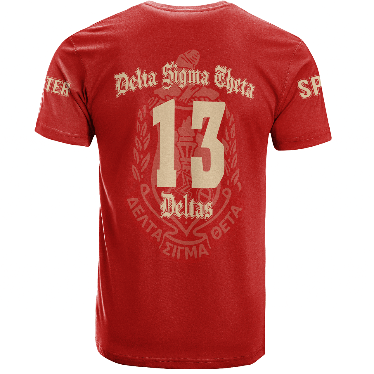 Delta Sigma Theta T-Shirt Custom Chapter And Spring Style